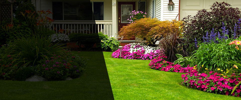 Niota Landscapers