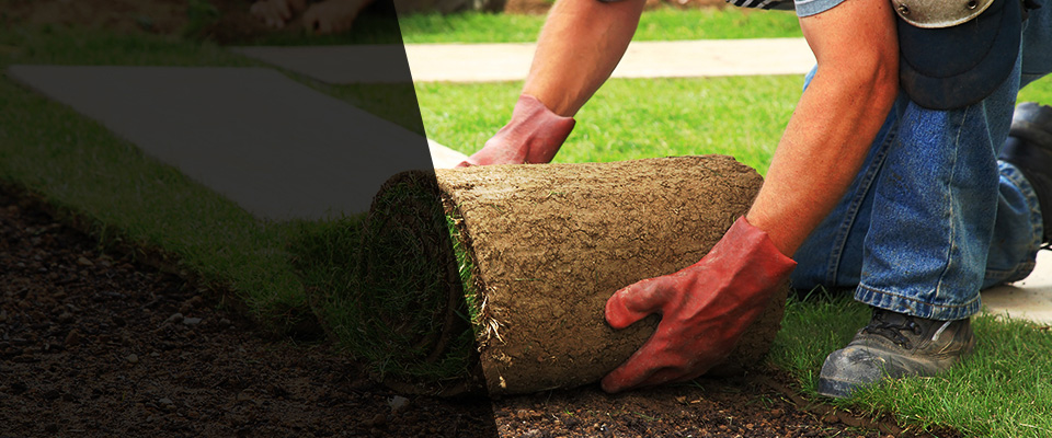 Niota Landscapers